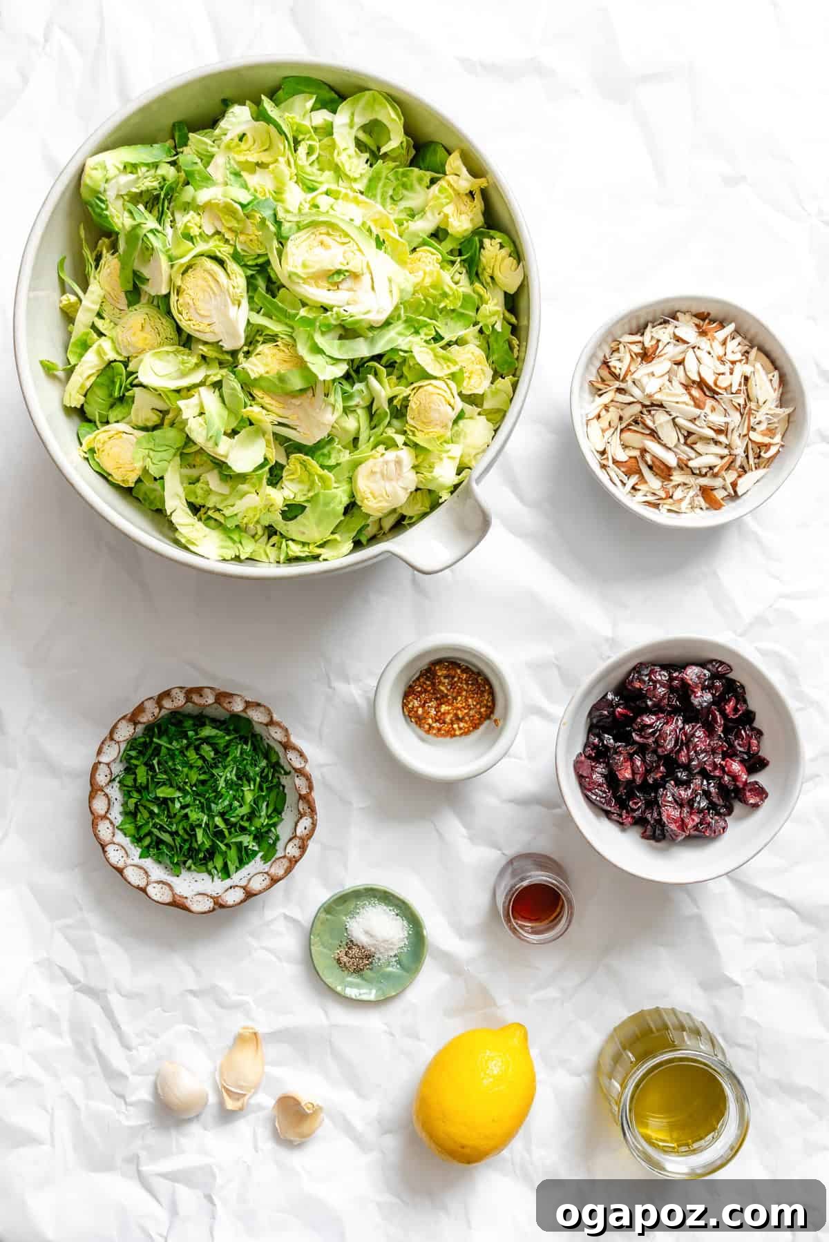 Bright Brussels Slaw 3 All the fresh ingredients laid out for preparing Brussels Sprout Slaw.