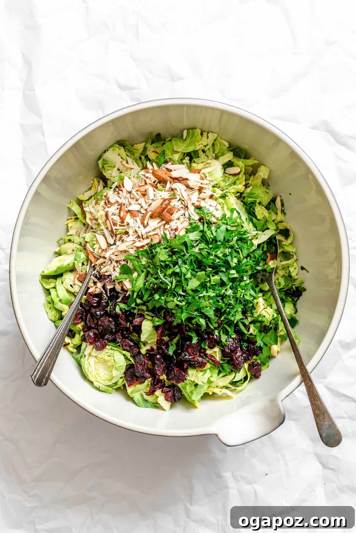 Bright Brussels Slaw 5 Shredded Brussels sprouts, cranberries, and almonds in a large mixing bowl, ready for dressing.