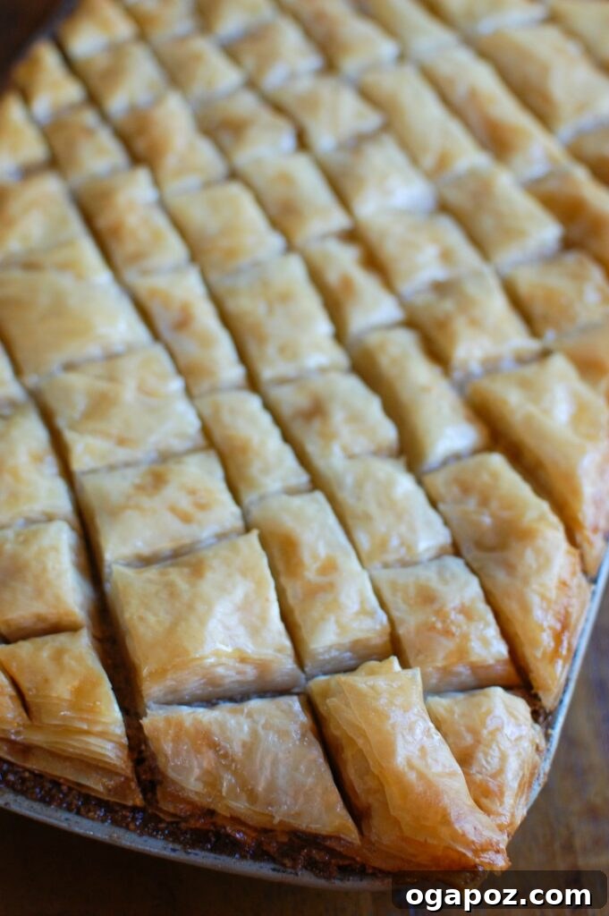 Mastering the Art of Baklava 4 A close-up of a bowl filled with finely ground walnuts, sugar, and cinnamon, ready to be spread as the delicious filling for baklava.