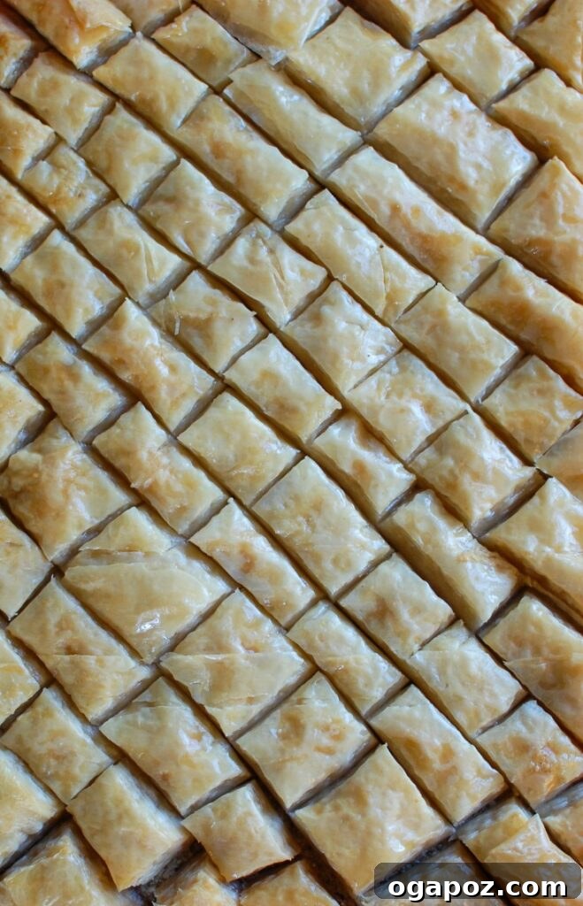 Mastering the Art of Baklava 5 Freshly baked baklava, golden and glistening with sweet syrup, cut into traditional diamond shapes, ready to be served.