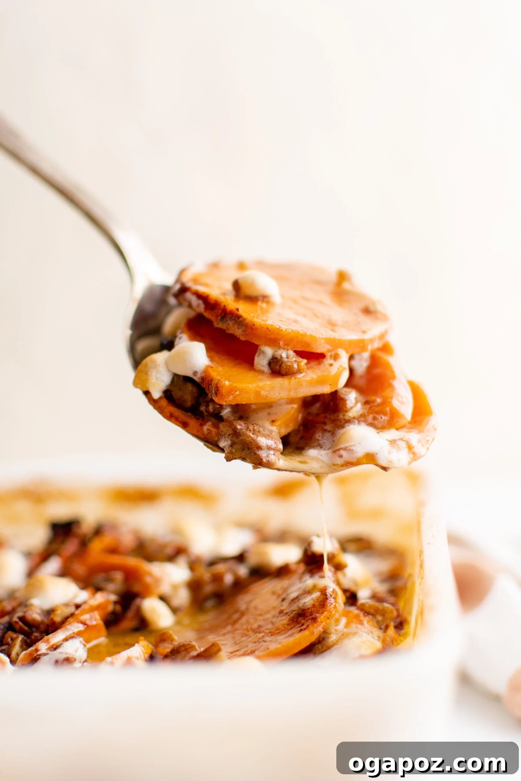 Simple Golden Sweet Potato Gratin 2 A spoon holding a stack of perfectly cooked scalloped sweet potatoes, topped with melted marshmallows and crunchy pecans, ready to be served.