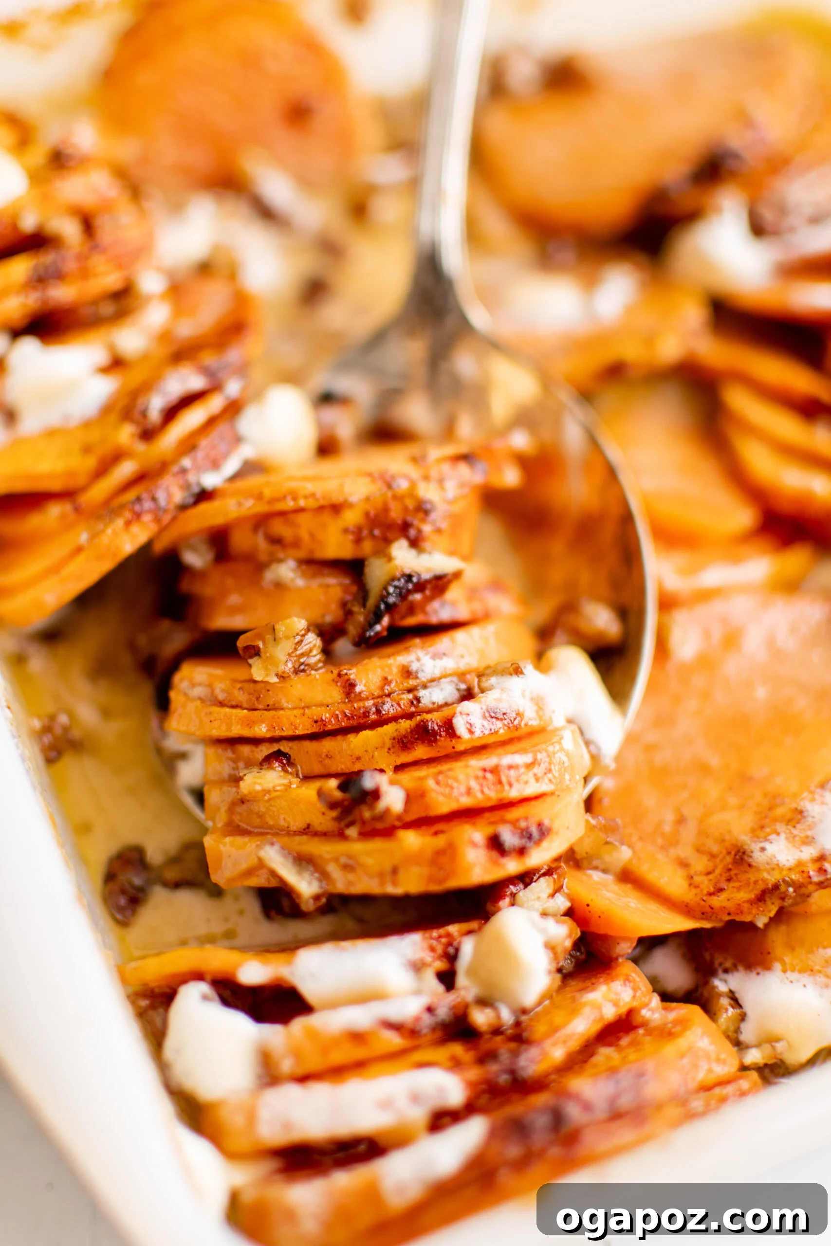 Simple Golden Sweet Potato Gratin 11 A serving spoon lifting a generous portion of scalloped sweet potatoes from a baking dish, highlighting the soft layers, melted marshmallows, and scattered pecans.