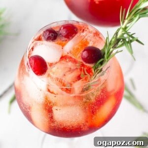 A beautifully presented Cranberry Aperol Spritz, a festive winter cocktail.