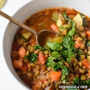 Hearty Tuscan Lentil Stew 8 A bowl of Italian Style Lentil Soup