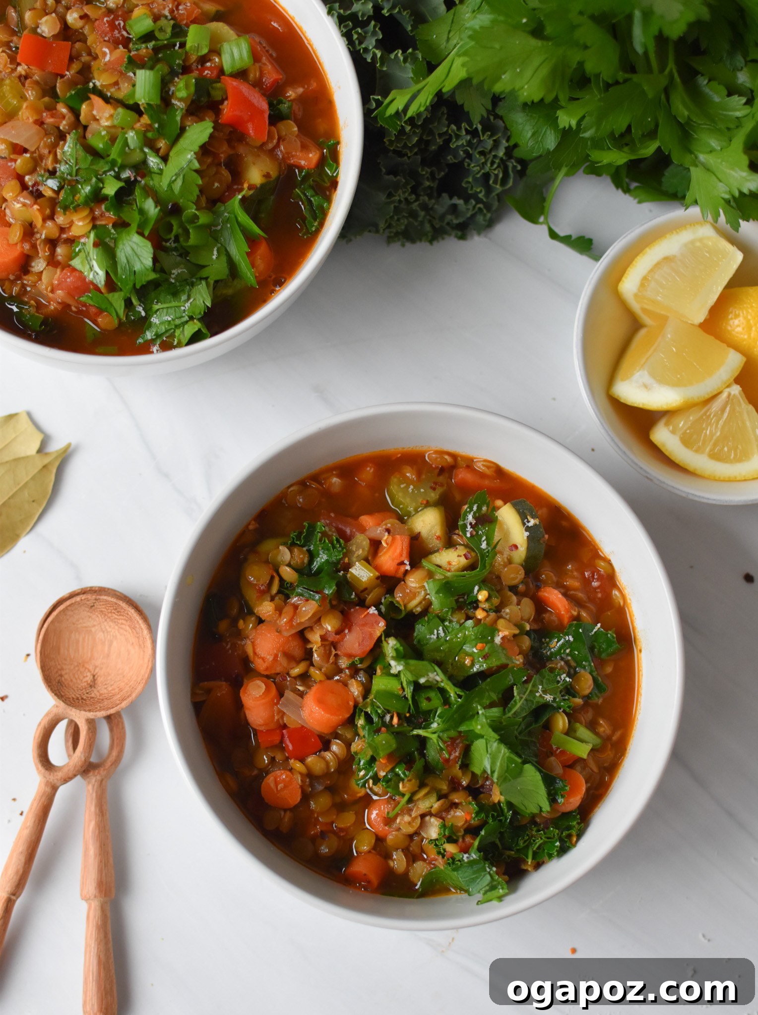 Hearty Tuscan Lentil Stew 4 Two white bowls filled with steaming Italian Style Lentil Soup, garnished with fresh herbs and a drizzle of olive oil, ready to be served.