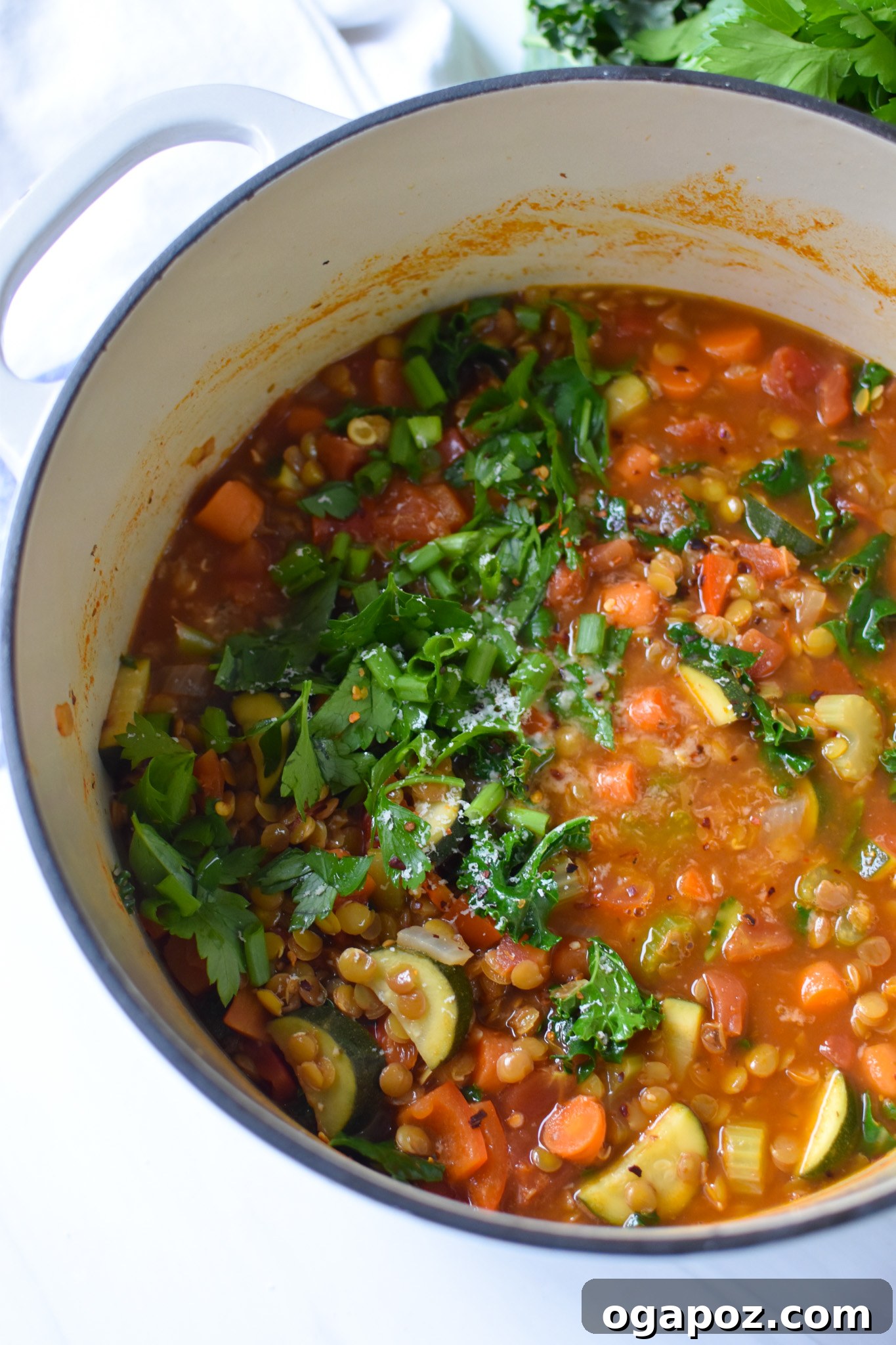 Hearty Tuscan Lentil Stew 5 A large pot of Italian Style Lentil Soup simmering on the stove, filled with lentils, vegetables, and rich broth.