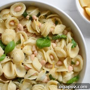 Lemon Basil White Bean Pasta ready to be served, garnished with fresh basil.