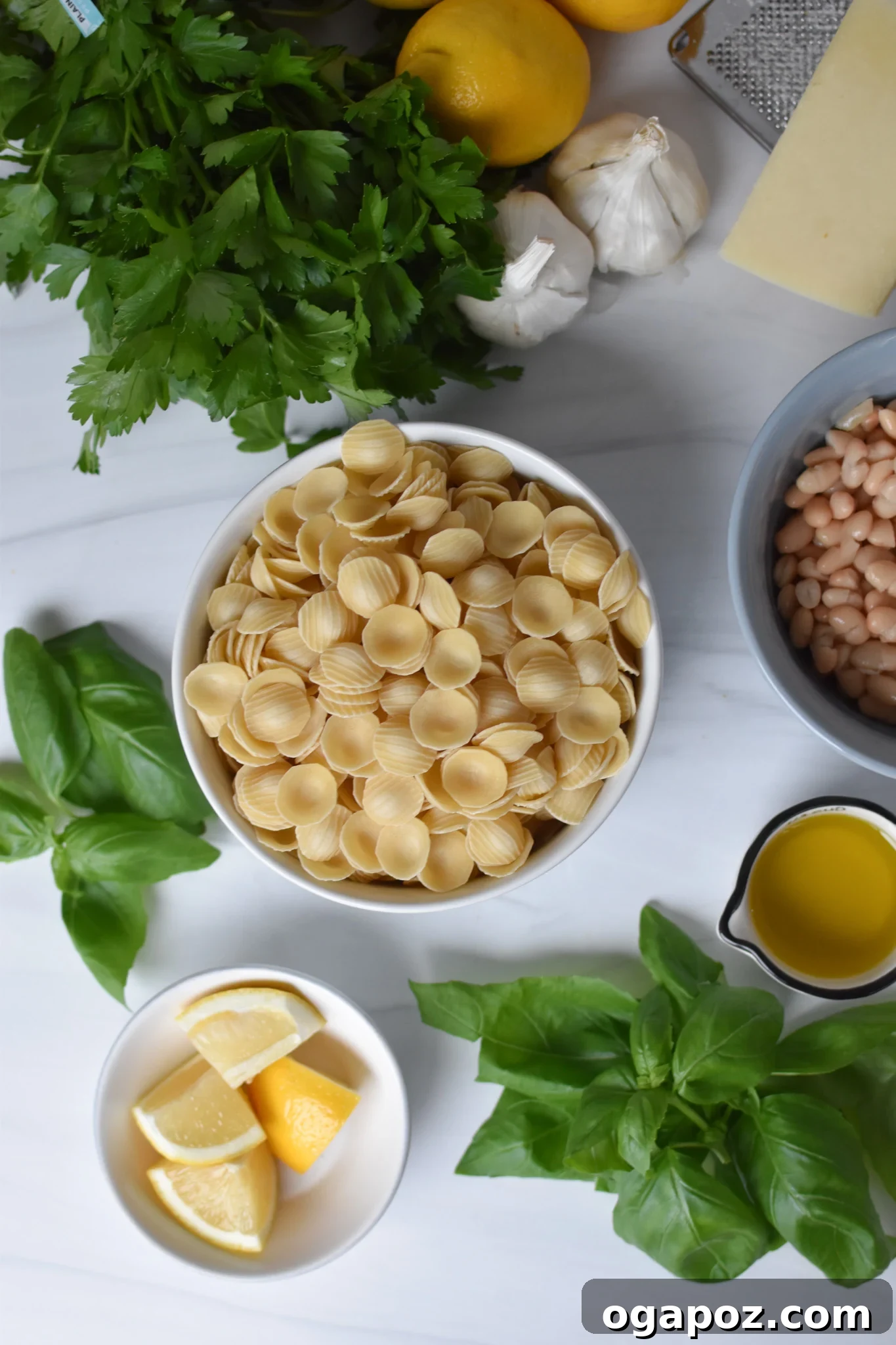 Bright Lemon Basil White Bean Pasta 3 A flat lay photograph showcasing all the fresh ingredients for Lemon Basil Pasta, including pasta, lemons, basil, garlic, and a can of white beans.