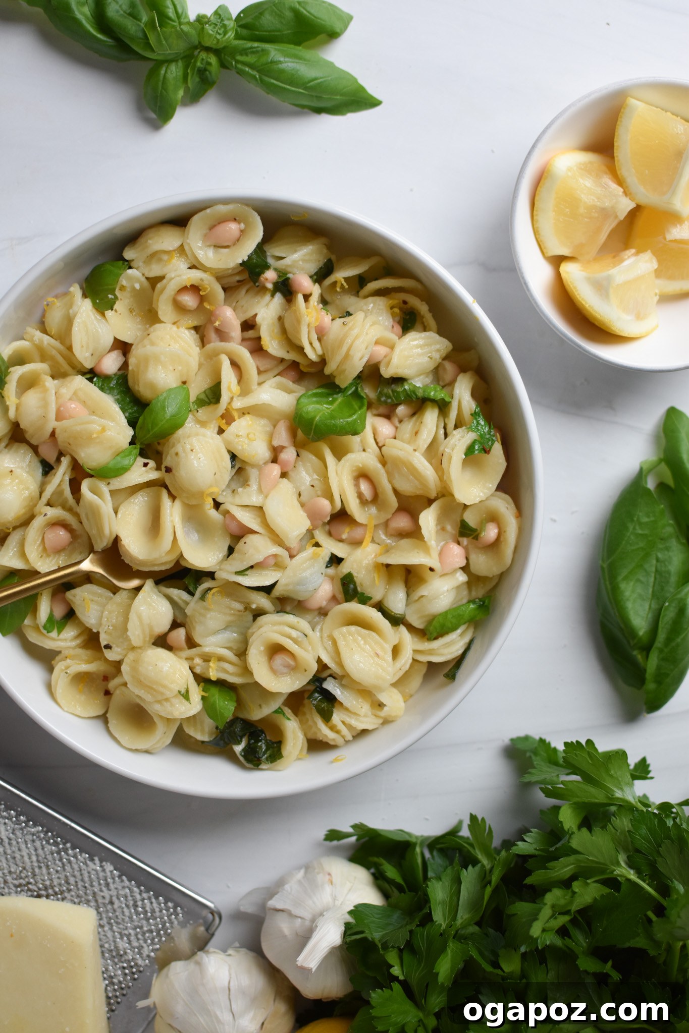 Bright Lemon Basil White Bean Pasta 6 A serving of Lemon Basil Pasta with a scattering of fresh basil leaves and creamy white beans, ready to be enjoyed.