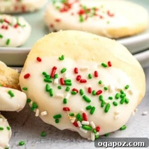 Buttery Christmas Shortbread Bliss 12 Christmas Shortbread Cookies 1200 x 1200