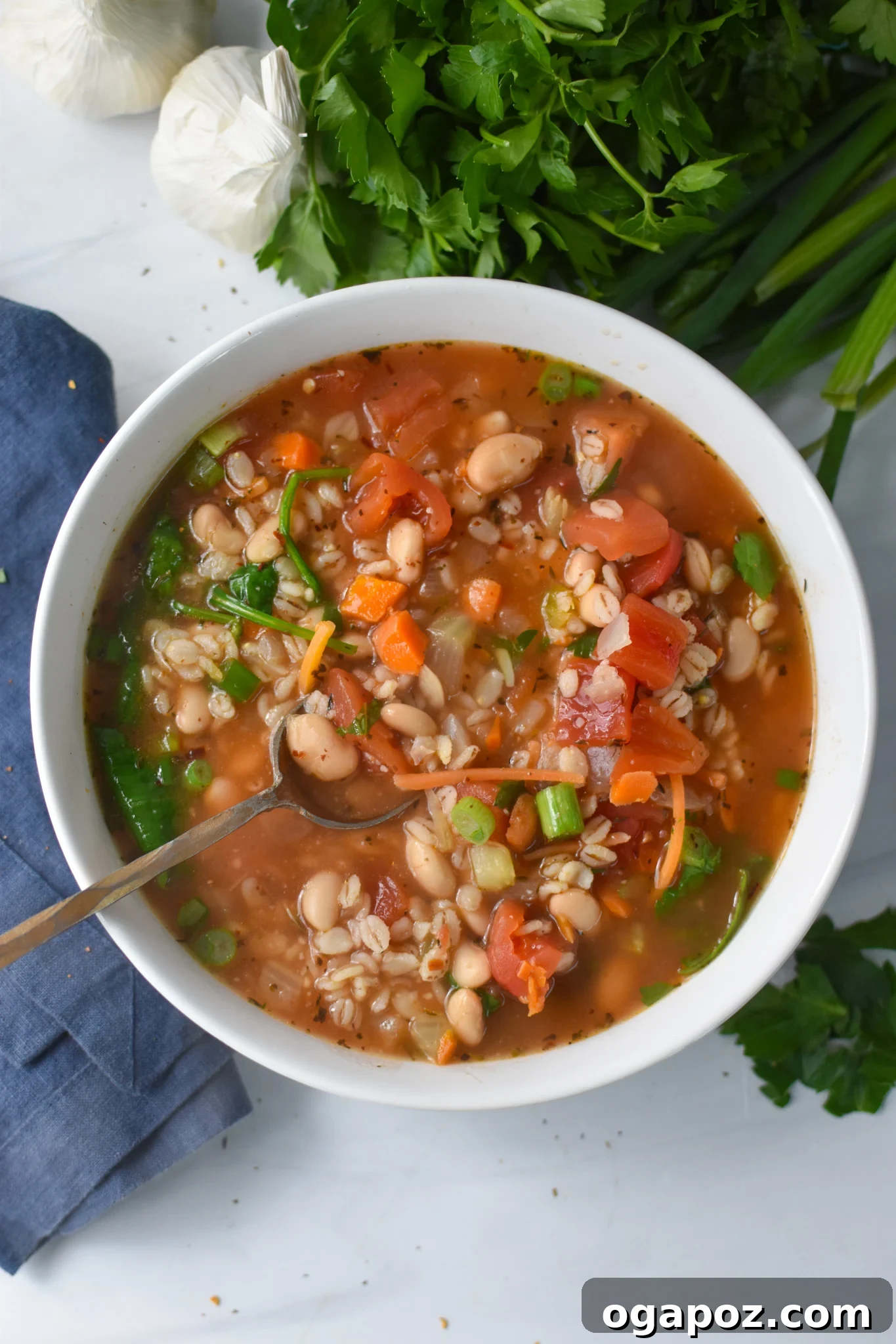 A pristine white bowl filled with steaming Vegetable Barley Soup, garnished with fresh parsley.