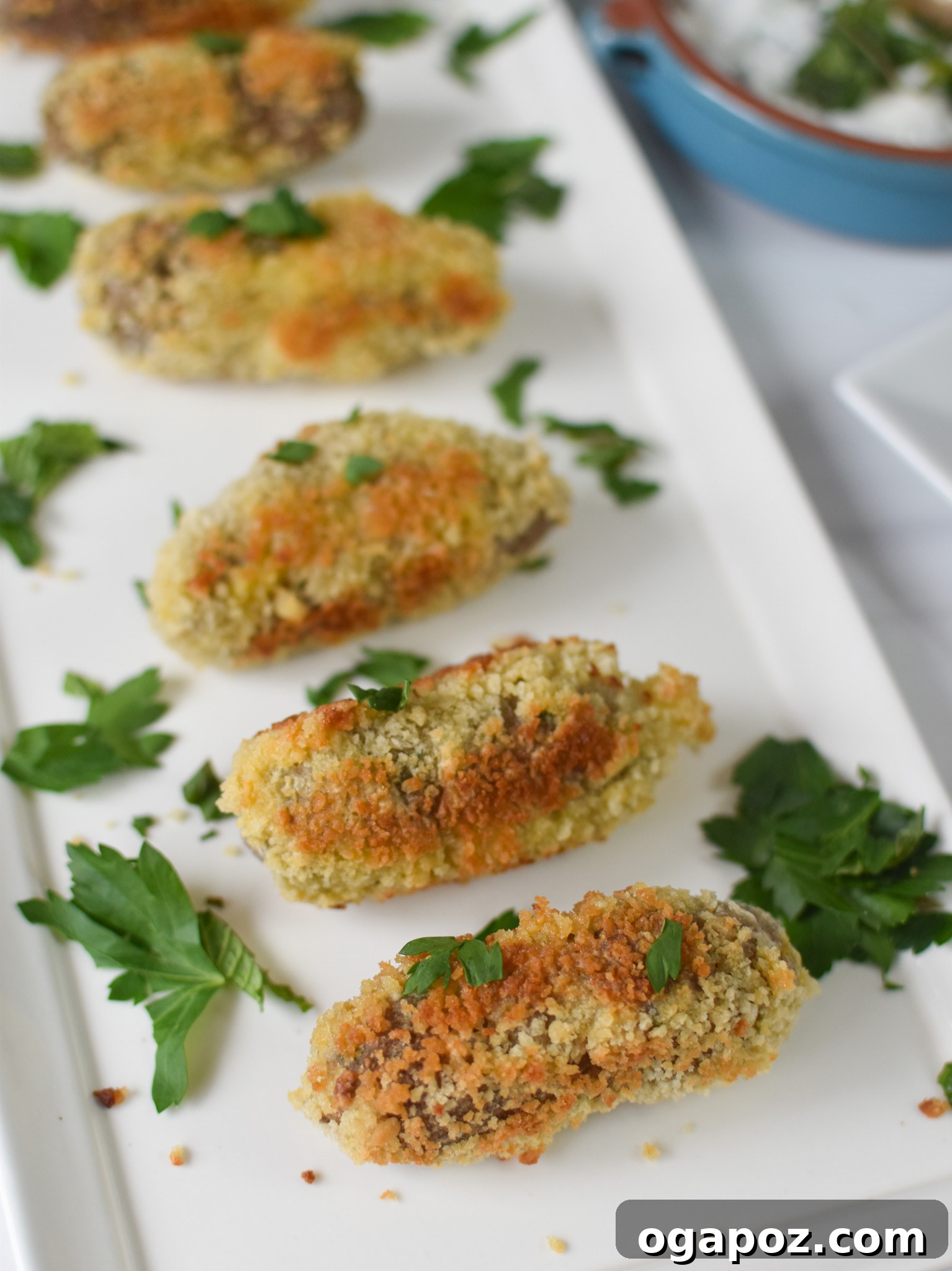 Crispy Lamb Bites 9 Lamb Croquettes artfully arranged on a white serving plate.