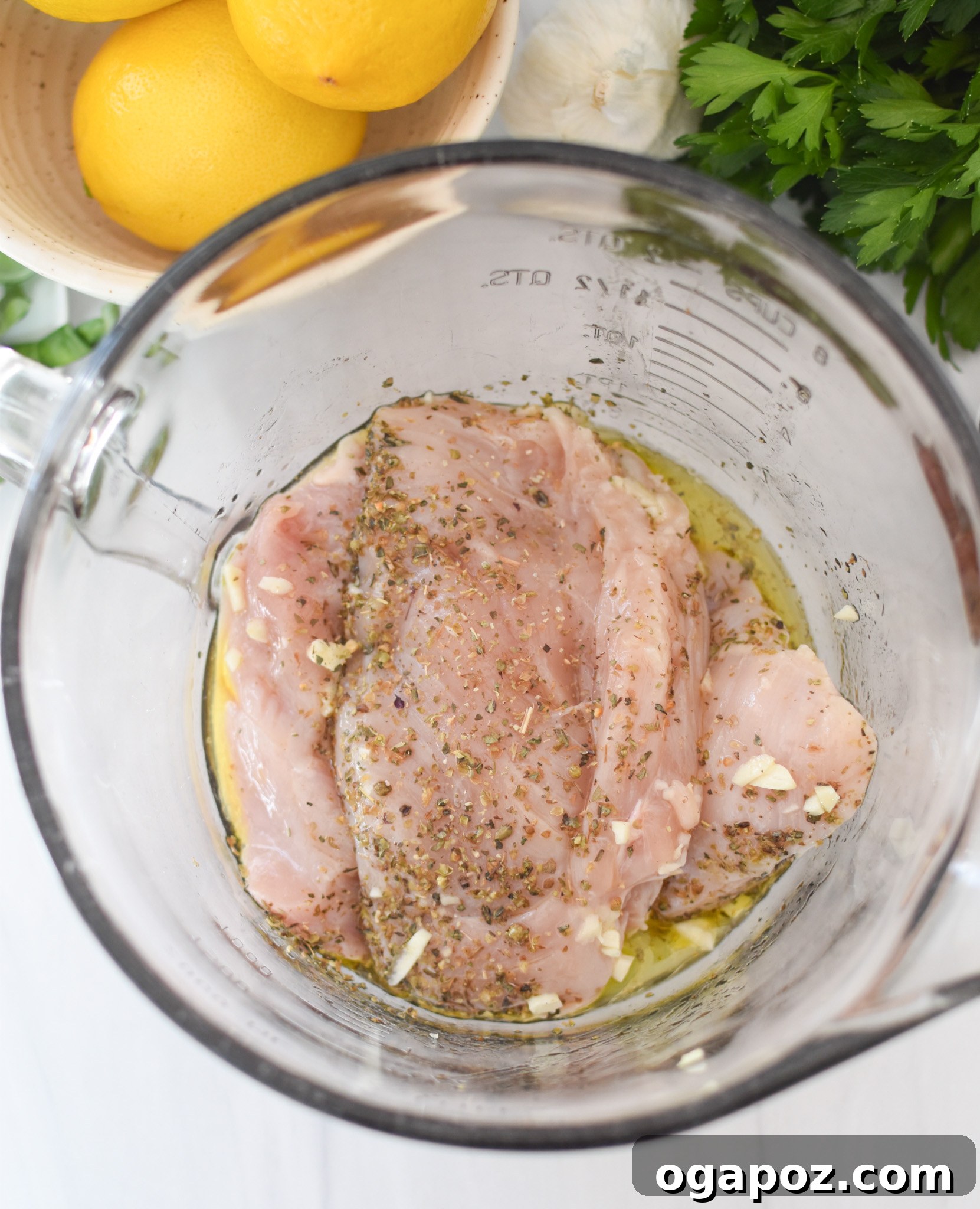 Copycat Carrabba's Chicken Bryan 6 Chicken breasts marinating in a bowl with herbs and lemon slices.