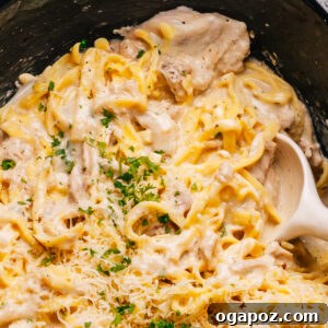 Crockpot Chicken Alfredo recipe close up shot with a spoon, highlighting the creamy texture.