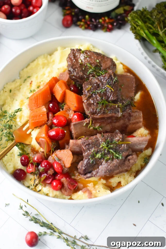 Rich & Tangy Cranberry Short Ribs 2 Cranberry Braised Short Ribs served in a white bowl with fresh herbs and a rich sauce.