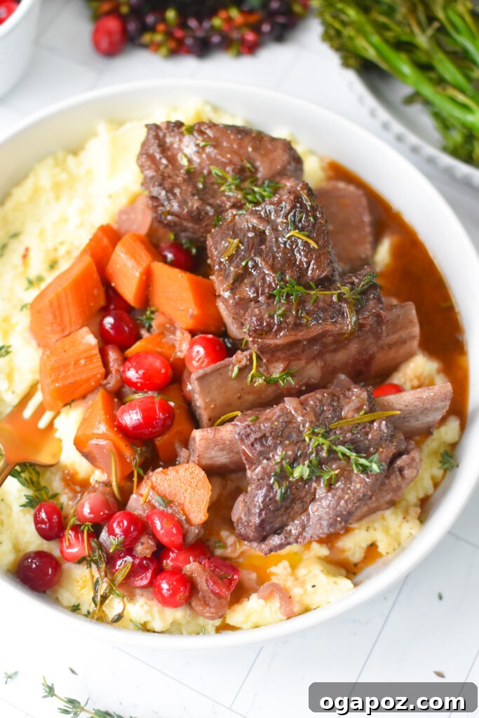 Rich & Tangy Cranberry Short Ribs 4 Cranberry Braised Short Ribs garnished with fresh rosemary and bright red cranberries, ready to serve.