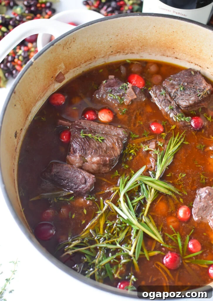 Rich & Tangy Cranberry Short Ribs 8 All ingredients for Cranberry Braised Short Ribs, including beef, vegetables, broth, wine, and cranberries, simmering in a Dutch oven before going into the oven.