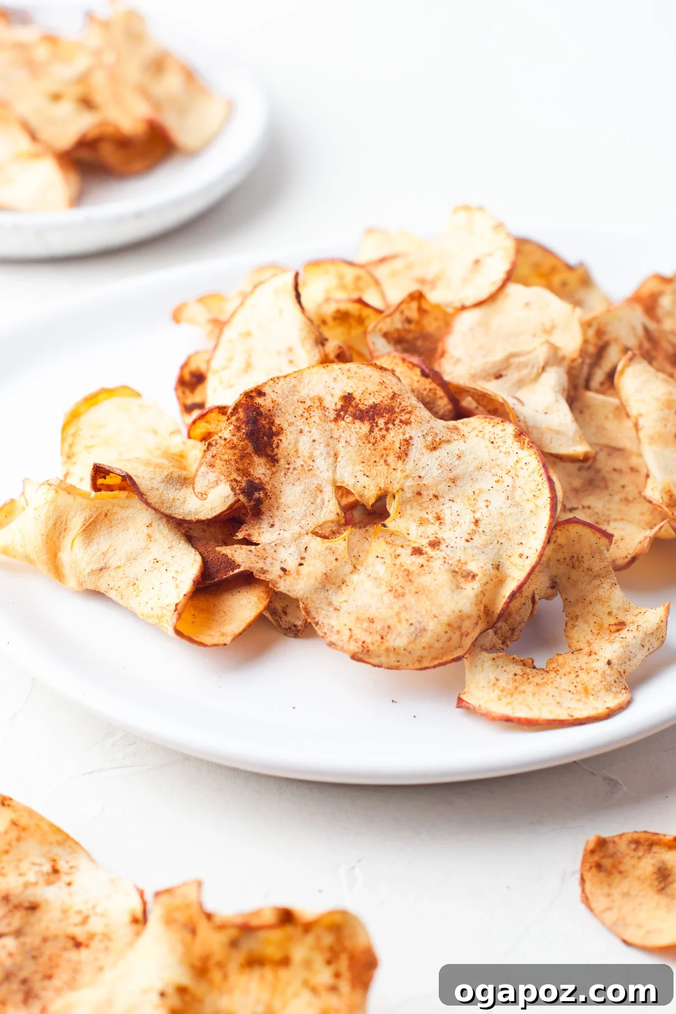 Simple Air Fryer Apple Crisps 2 Crispy Air Fryer Apple Chips perfectly arranged on a white plate, ready to be enjoyed as a healthy and flavorful snack.
