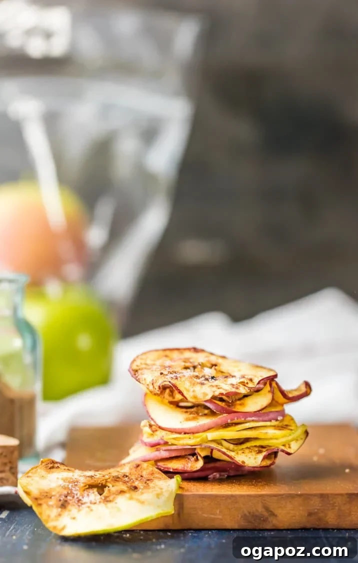 Simple Air Fryer Apple Crisps 3 Air Fryer Apple Chips neatly stacked, showcasing their ideal crispness and appetizing golden-brown hue, ready to be eaten.