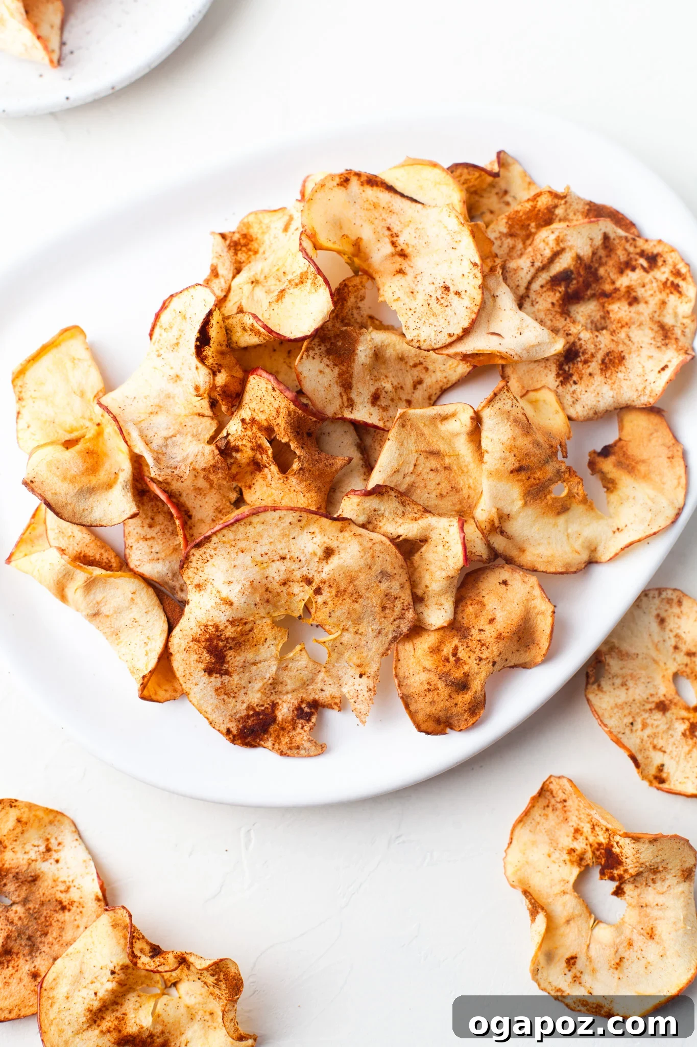 Simple Air Fryer Apple Crisps 4 A beautifully presented serving of Easy Air Fryer Apple Chips on a pristine white plate, adorned with a light dusting of extra cinnamon.