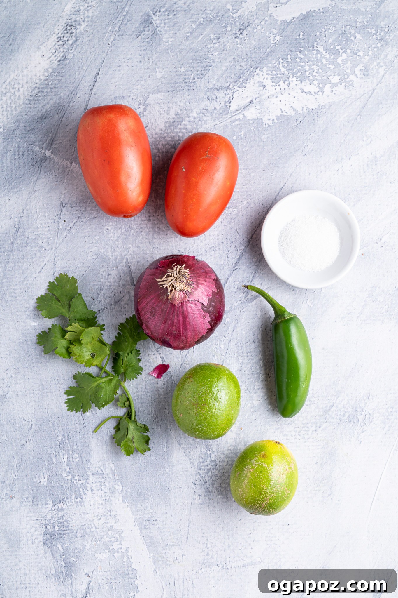 Vibrant Homemade Pico de Gallo 3 All the fresh ingredients for Homemade Pico de Gallo laid out beautifully: Roma tomatoes, red onion, jalapeños, cilantro, and lime.