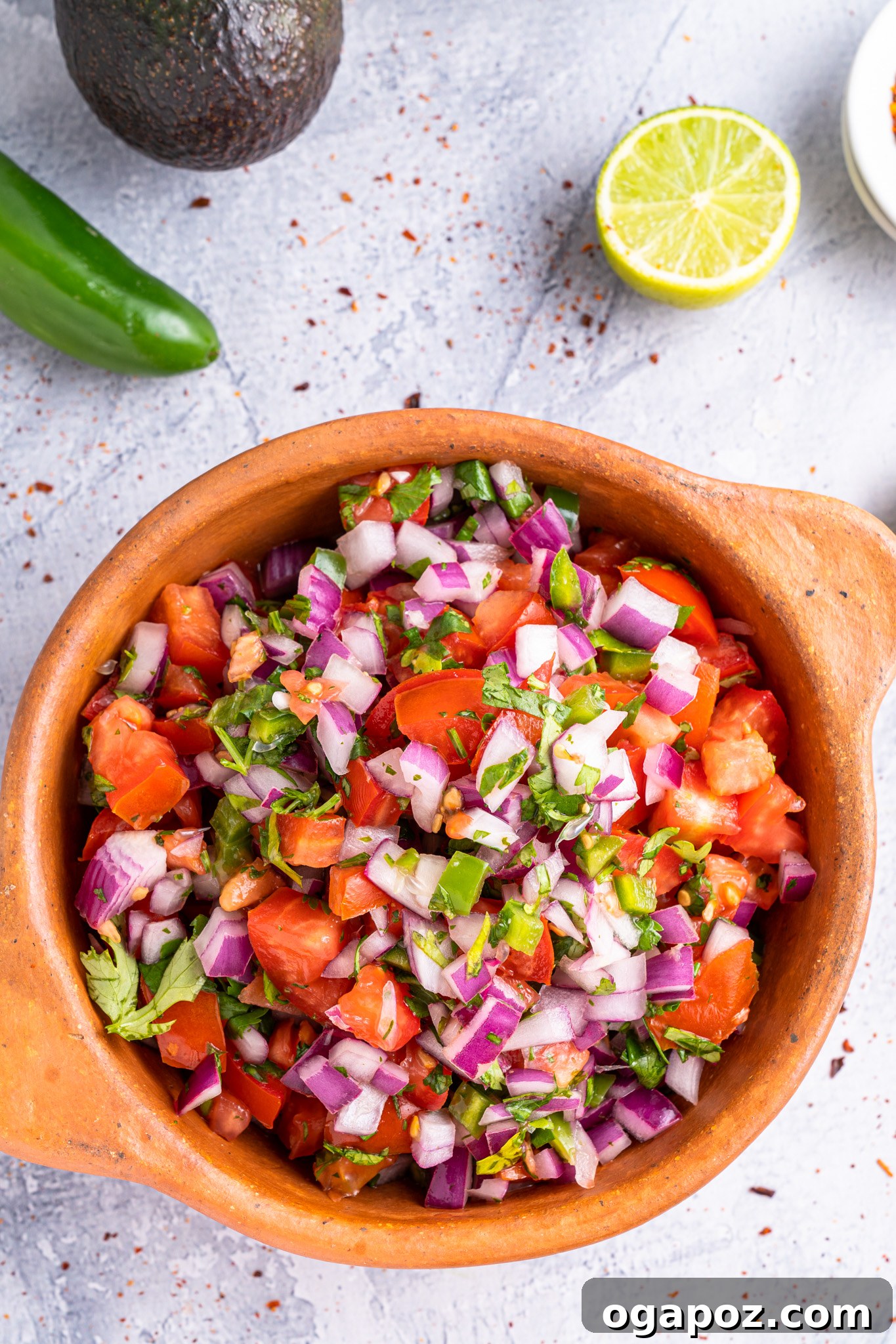 Vibrant Homemade Pico de Gallo 4 A close-up of Homemade Pico de Gallo, beautifully garnished with fresh cilantro leaves, ready to be served.