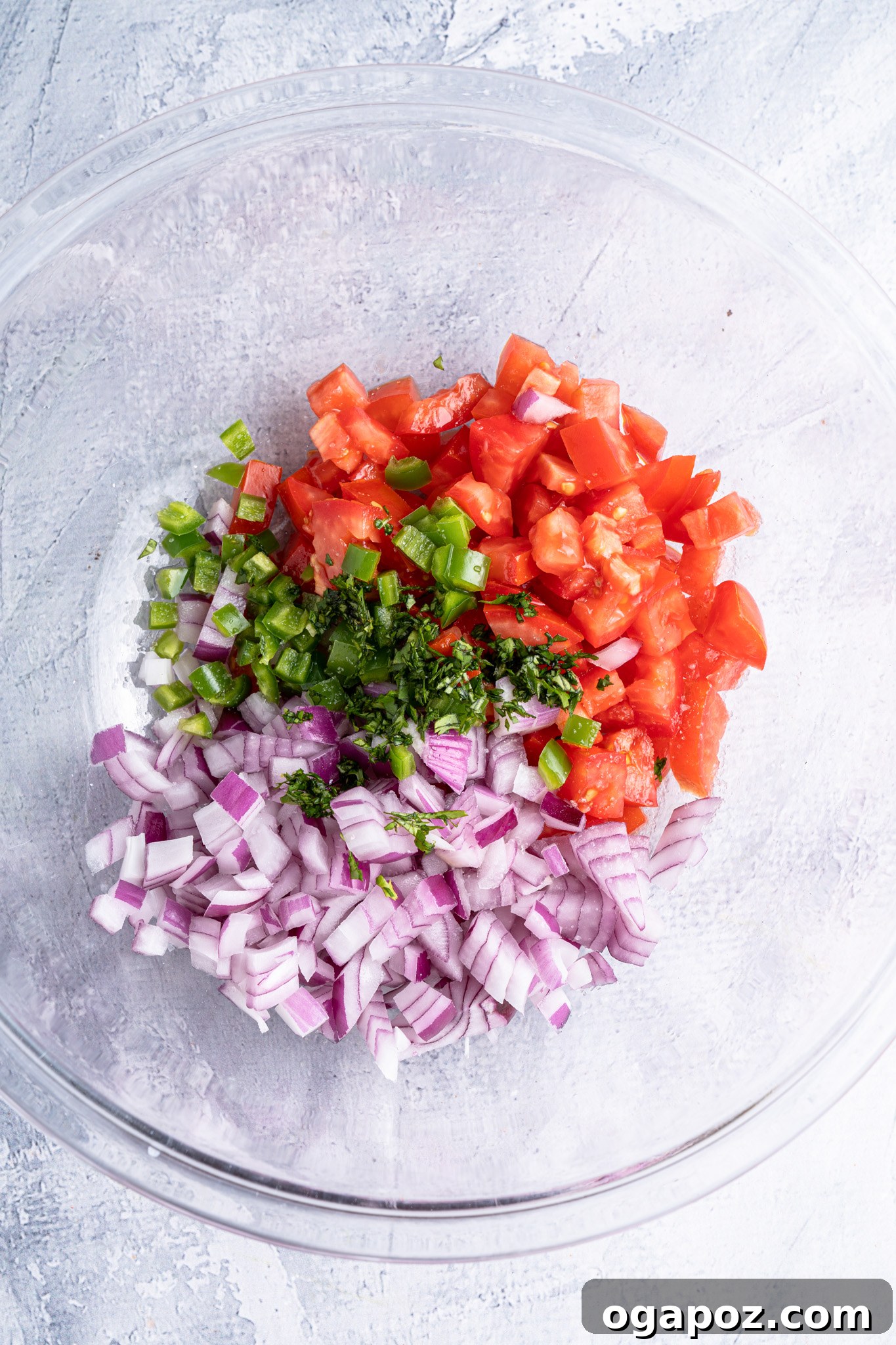 Vibrant Homemade Pico de Gallo 5 All the finely diced ingredients for Homemade Pico de Gallo in a large mixing bowl before being combined with lime and salt.