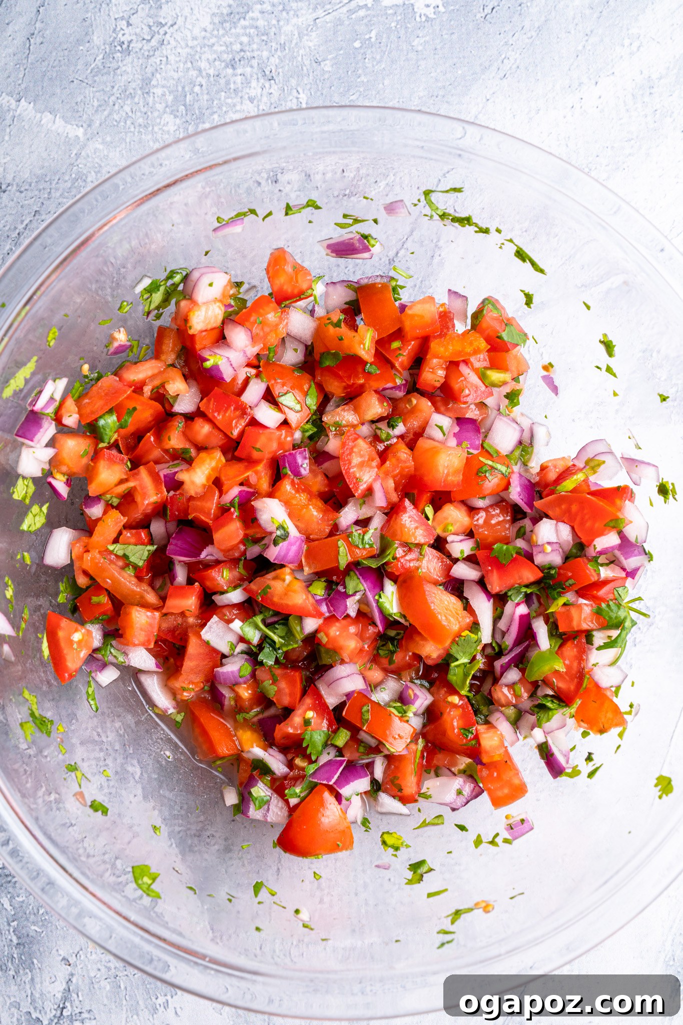 Vibrant Homemade Pico de Gallo 6 A bowl of freshly mixed Homemade Pico de Gallo salsa, showing the vibrant blend of diced tomatoes, onions, jalapeños, and cilantro.