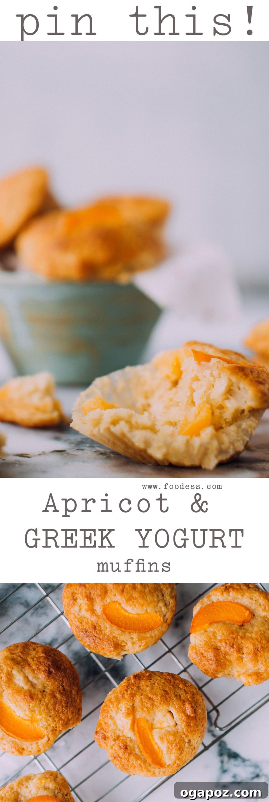Sun-Kissed Apricot Muffins 5 A freshly baked apricot muffin, beautifully sliced in half, revealing its soft, moist interior and generous chunks of apricot.