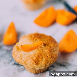 Sun-Kissed Apricot Muffins 6 A vibrant close-up of several fresh apricot muffins cooling on a wire rack, beautifully garnished with fresh apricot slices, ready to be served.