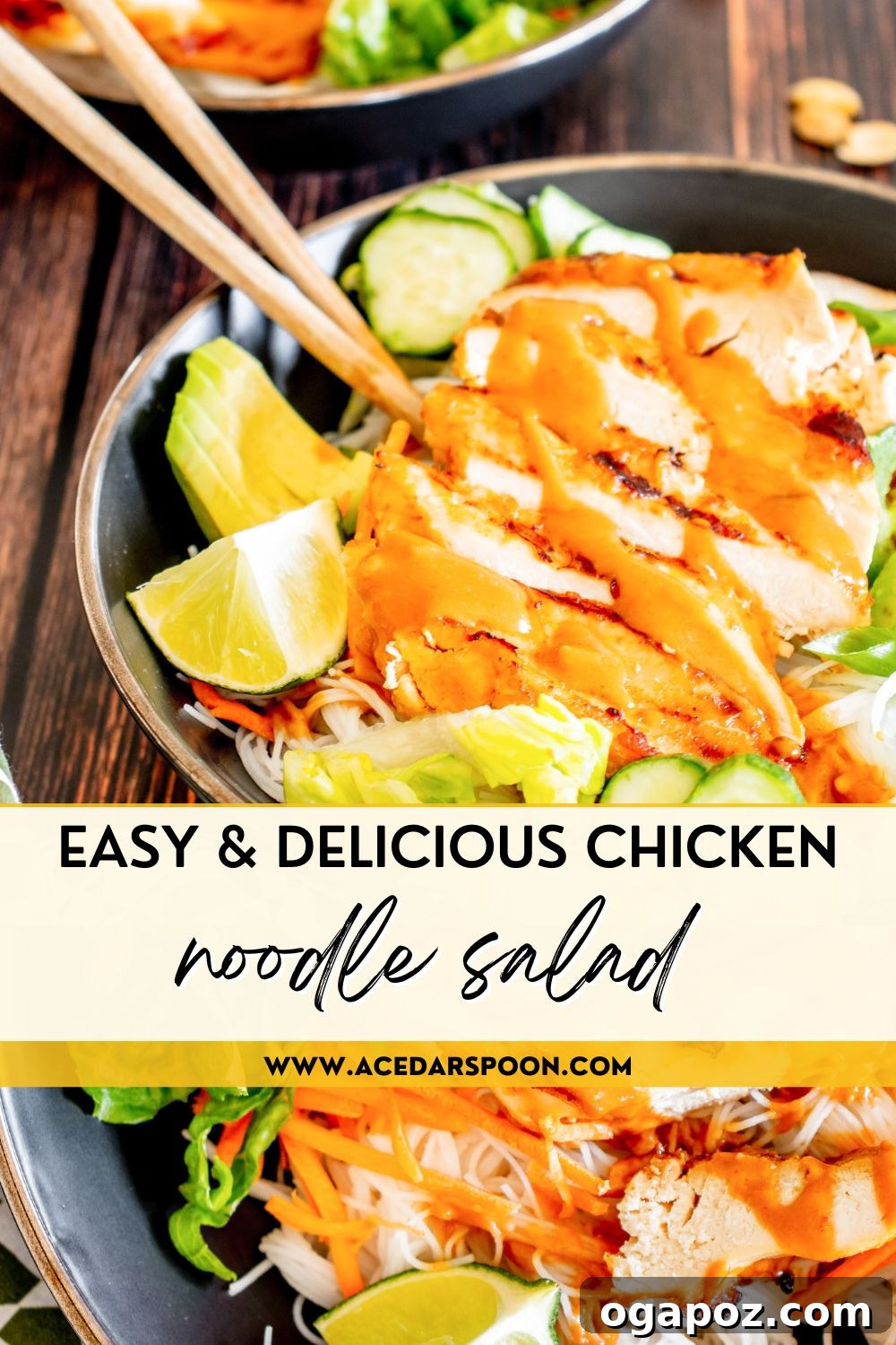 Vibrant Thai Chicken Noodle Salad 13 A branded image for Thai Chicken Noodle Salad, featuring the finished dish and a logo.
