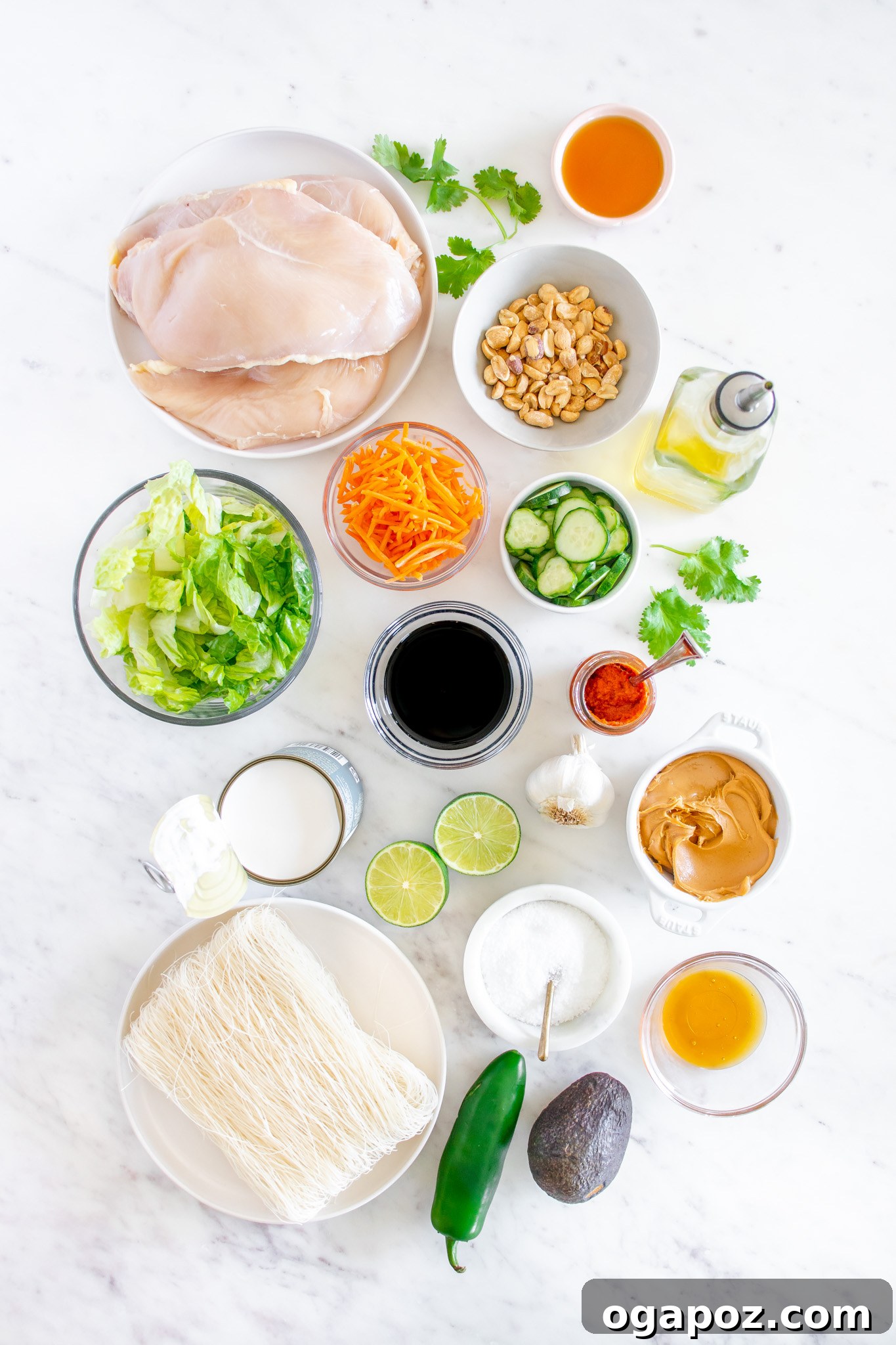 Vibrant Thai Chicken Noodle Salad 4 A vibrant flat lay of all the fresh ingredients for Thai Chicken Noodle Salad, including chicken, noodles, vegetables, and dressing components.