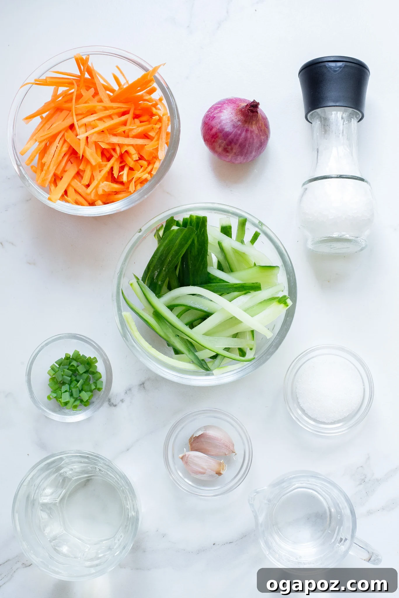 Fresh and Fast Pickles 6 A flat lay photograph showcasing all the fresh and whole ingredients required to make Quick Pickled Vegetables.