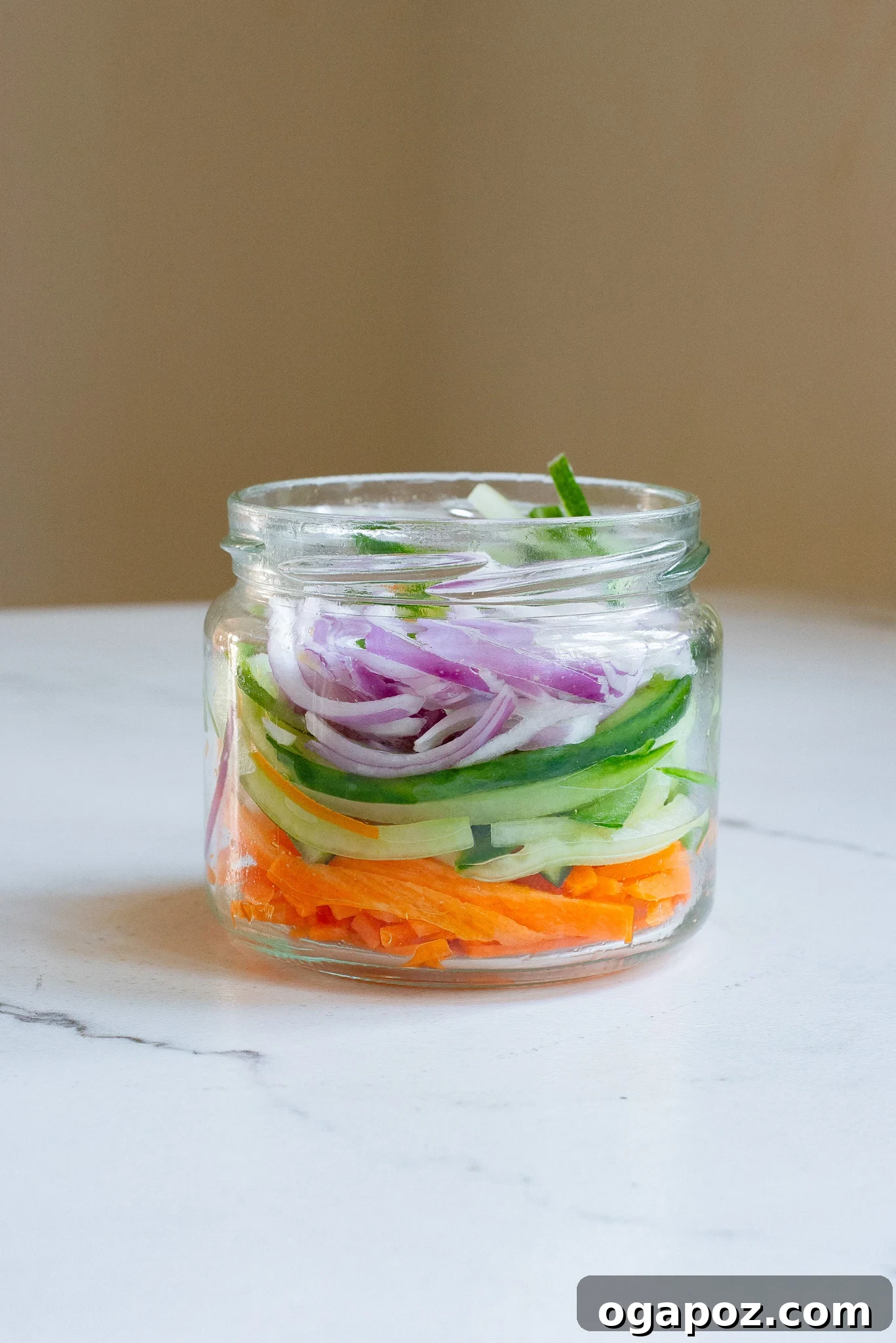 Fresh and Fast Pickles 8 Assortment of fresh vegetables, illustrating the variety that can be used for quick pickling.