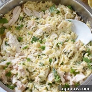 Lemon Chicken Orzo 1200 x 1200