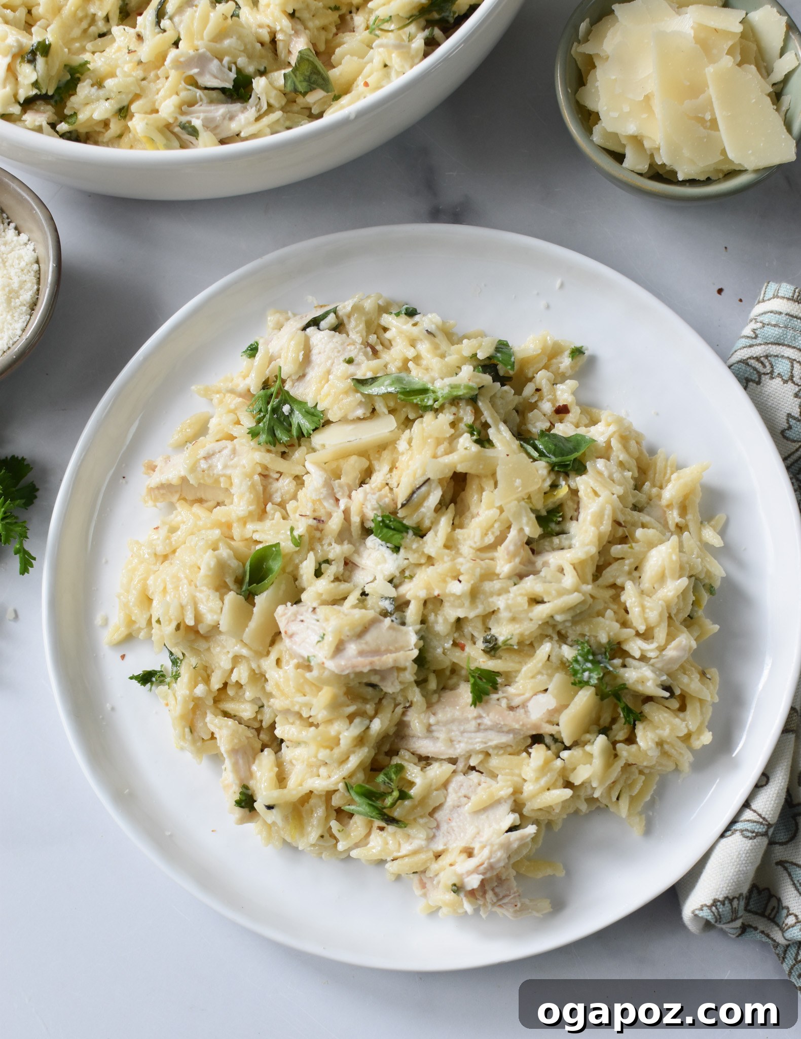 Bright Lemon Chicken Orzo 3 A serving of Lemon Chicken Orzo on a white plate, garnished with lemon slices and fresh herbs.