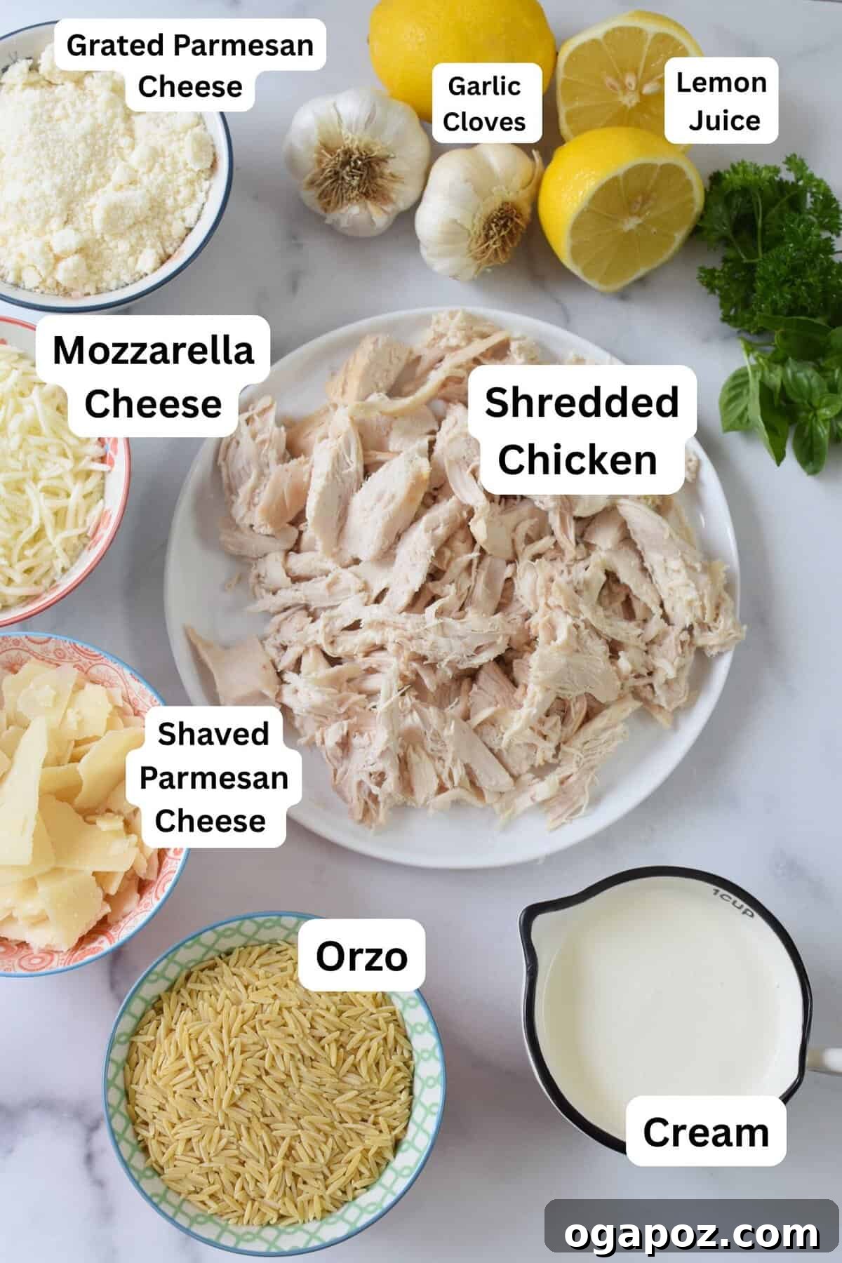 Bright Lemon Chicken Orzo 6 A flat lay of ingredients for Lemon Chicken Orzo recipe including chicken, lemons, garlic, butter, cheeses, and herbs.