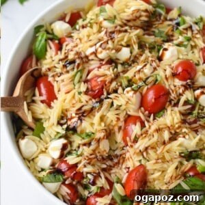 Fresh Caprese Orzo Salad 11 Caprese Orzo Pasta Salad Image 1200 x 1200