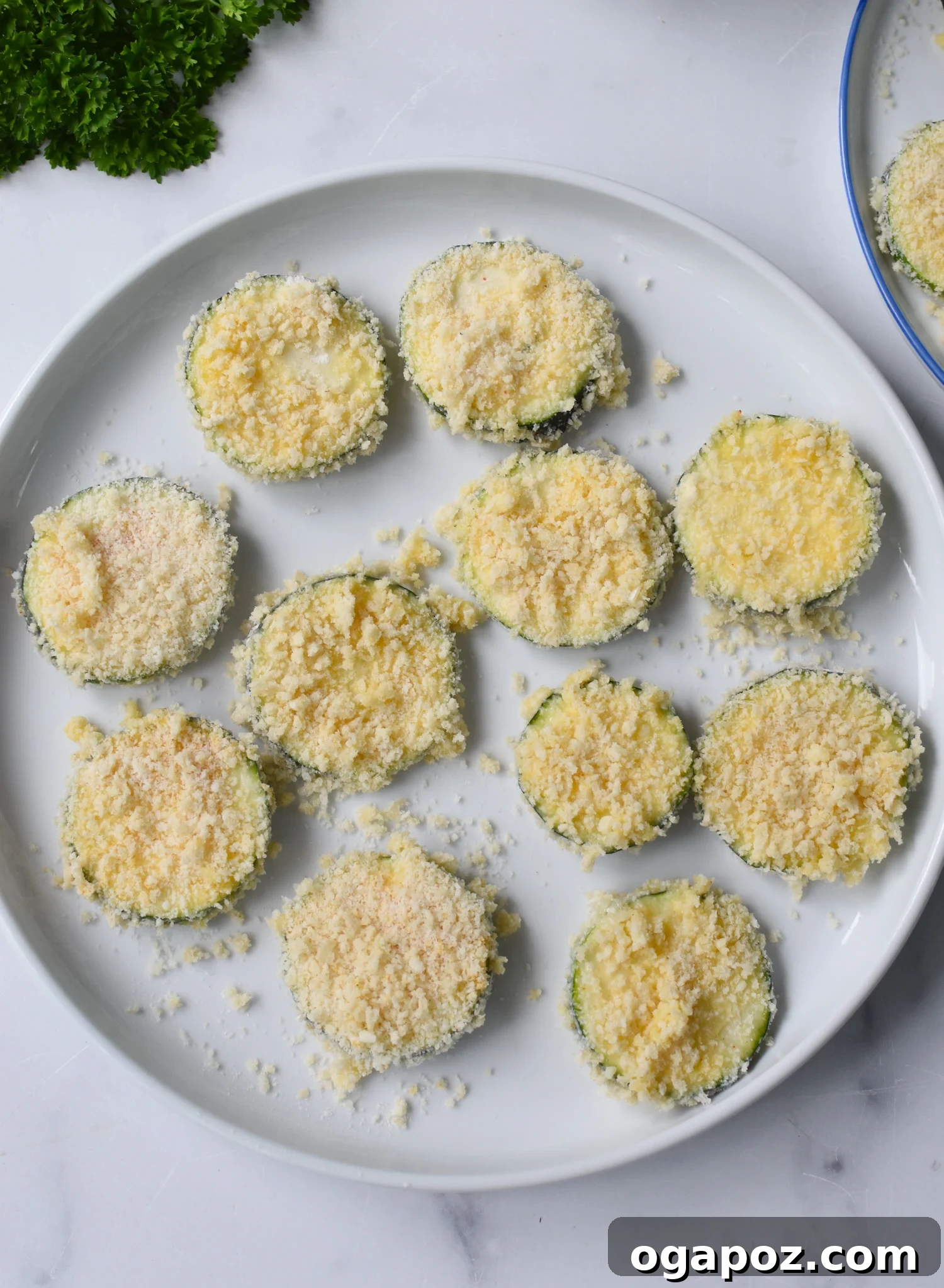 Crispy Air Fryer Zucchini Crisps 9 Coated Air Fryer Zucchini Chips arranged on a plate, ready for the air fryer.