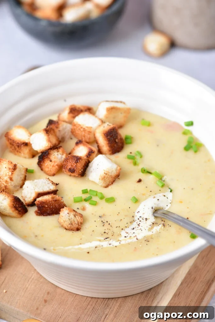 Velvety Potato Leek Soup 2 Comforting Potato Leek Soup with a spoon, ready to be enjoyed.
