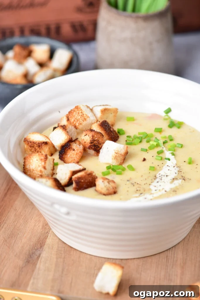 Velvety Potato Leek Soup 7 A bowl of creamy Potato Leek Soup, perfectly garnished and ready to be served.