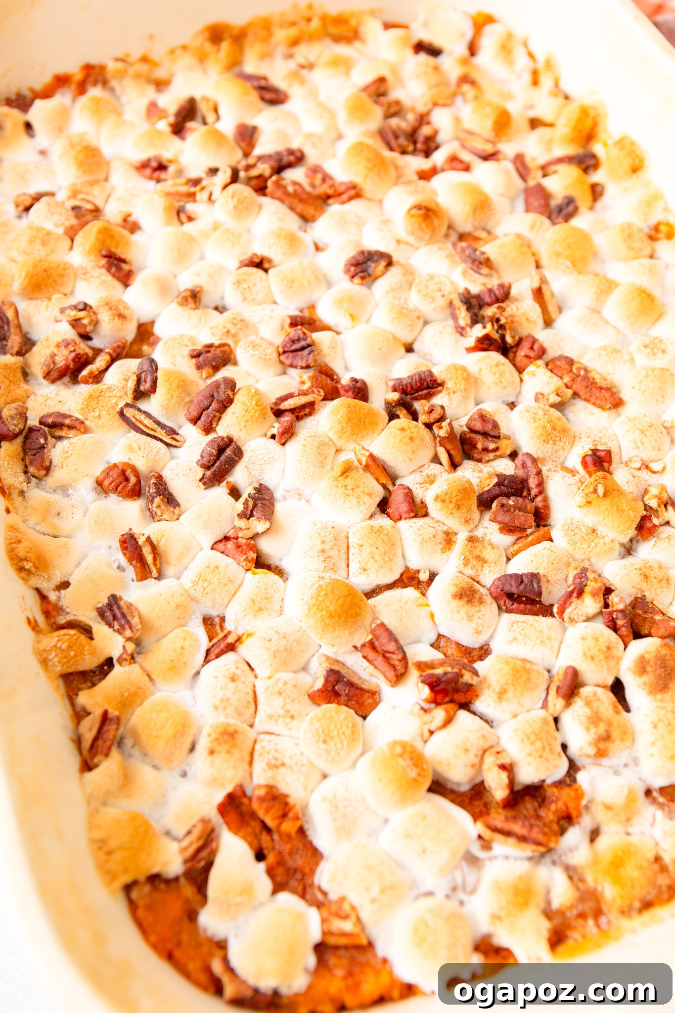 Golden Sweet Potato Marshmallow Delight 12 Sweet Potato Casserole with Marshmallows up close, showing the gooey marshmallows and creamy sweet potato