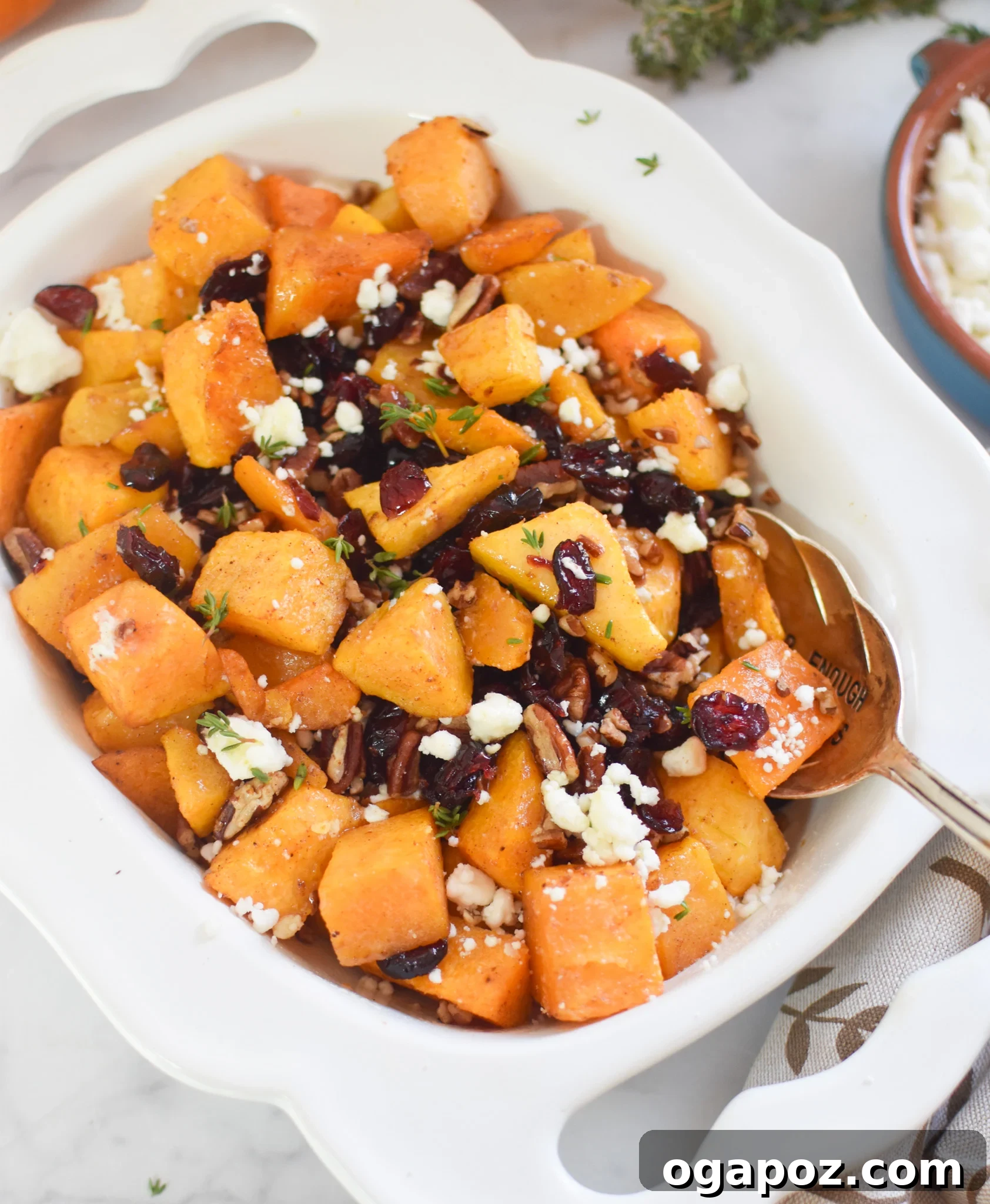 A beautifully presented bowl of Roasted Butternut Squash with Cranberries, garnished with fresh herbs.