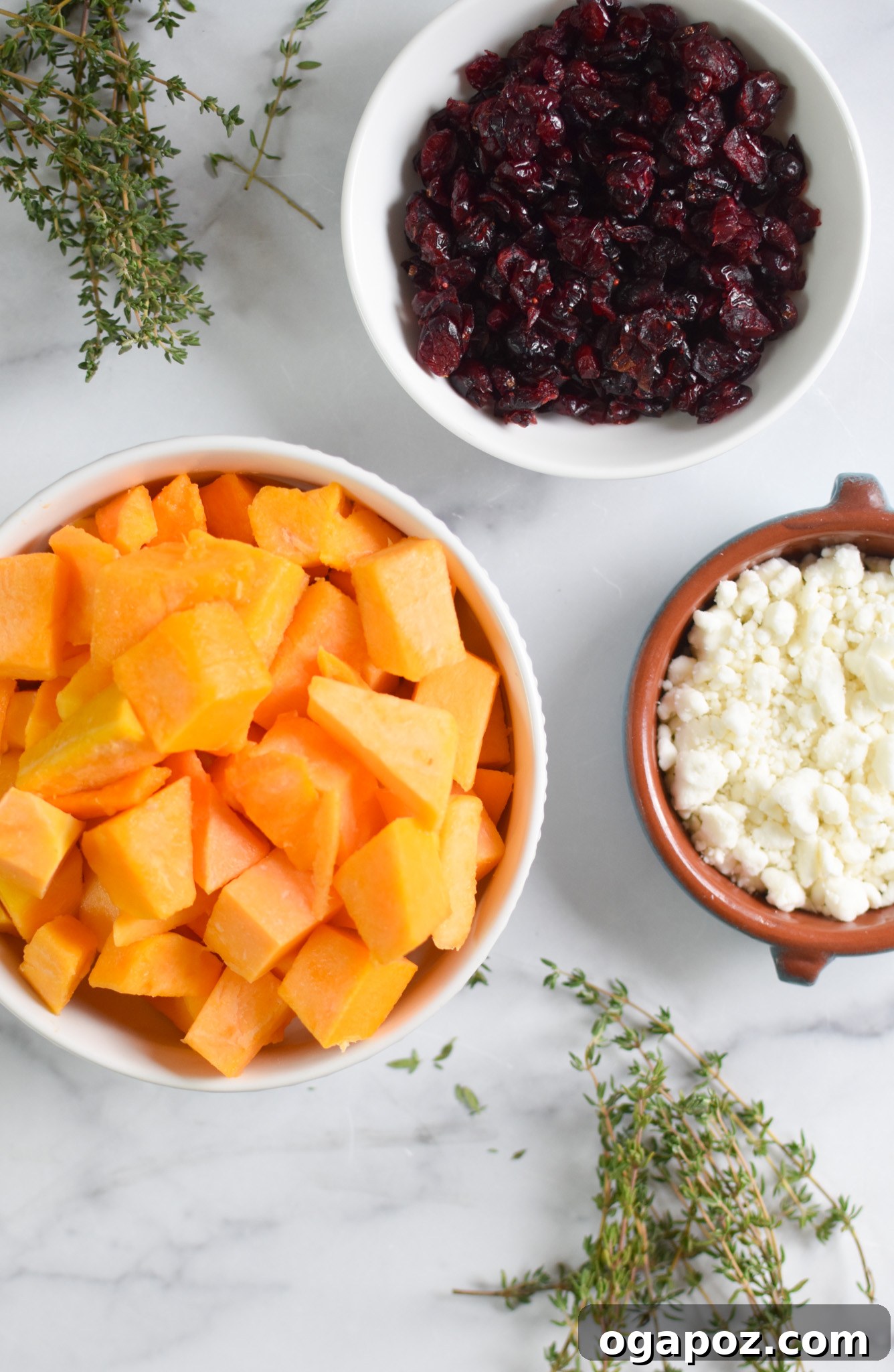 A collection of fresh ingredients laid out: butternut squash, cranberries, pecans, goat cheese, and spices.