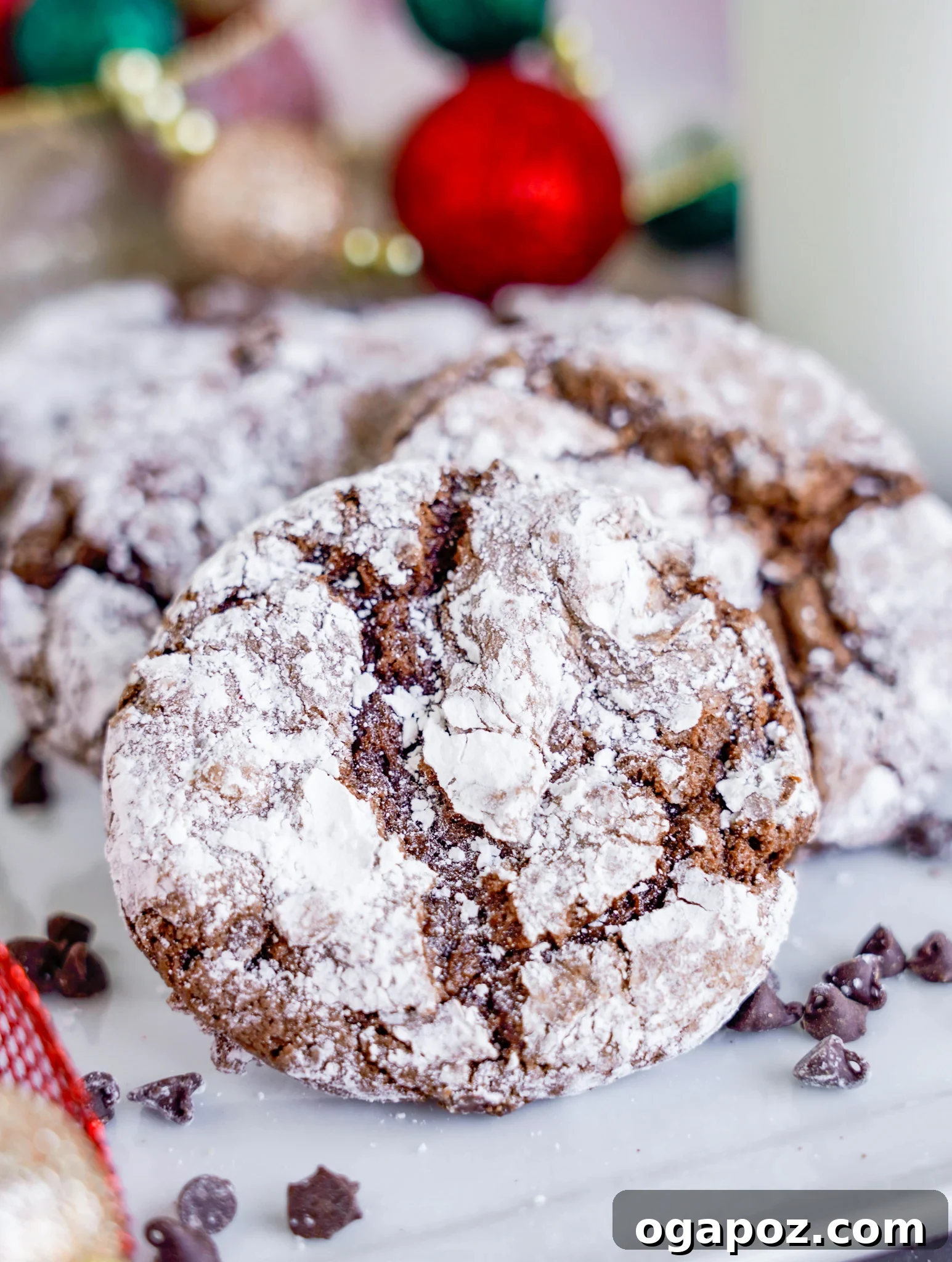 Decadent Chocolate Crinkle Cookies 2 Fudgy Chocolate Crinkle Cookies dusted with powdered sugar on a white plate, ready for serving.