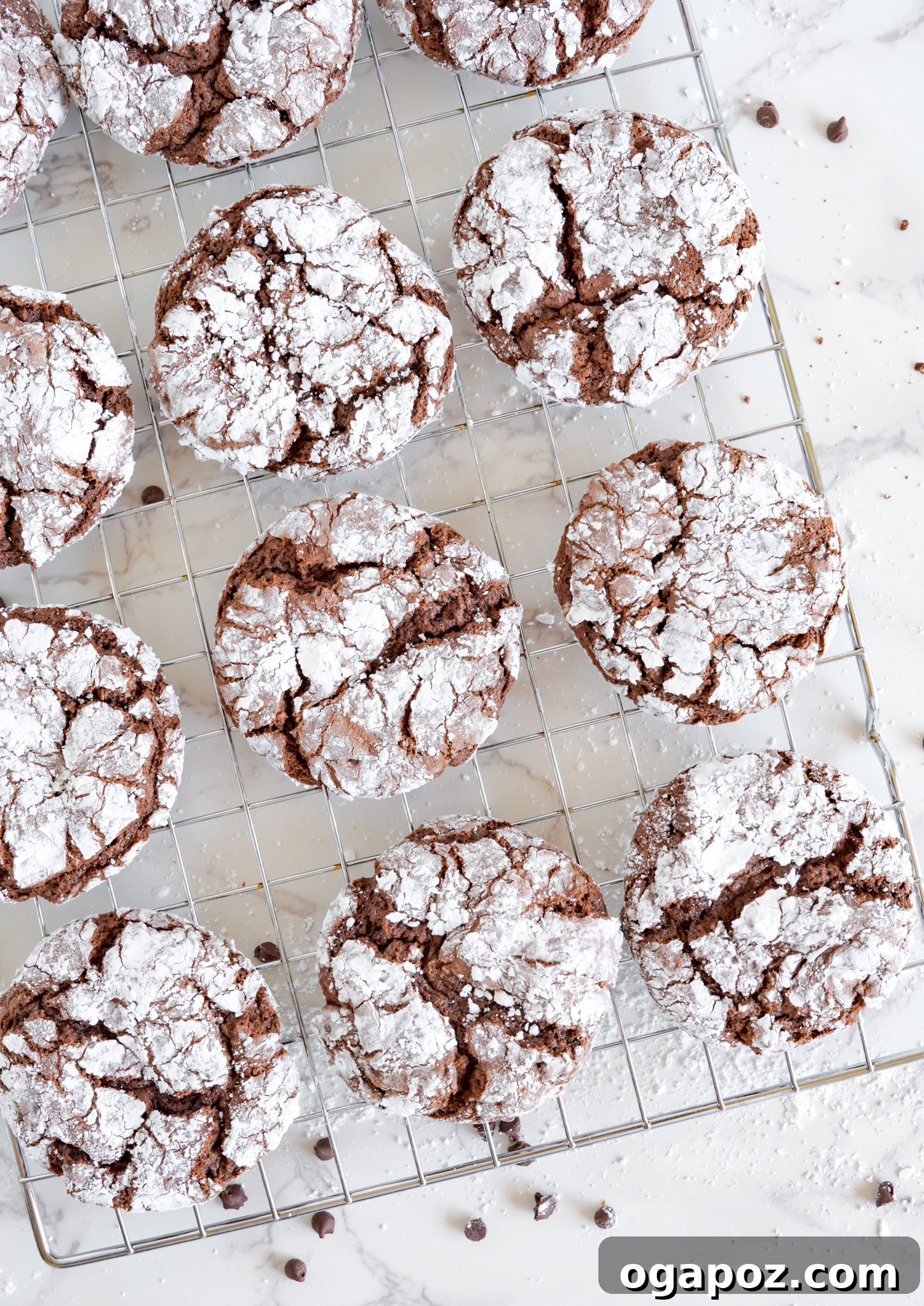 Decadent Chocolate Crinkle Cookies 12 Baked Chocolate Crinkle Cookies cooling on a baking sheet, showcasing the crinkled tops.