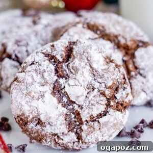 Decadent Chocolate Crinkle Cookies 14 Chocolate Crinkle Cookie Recipe
