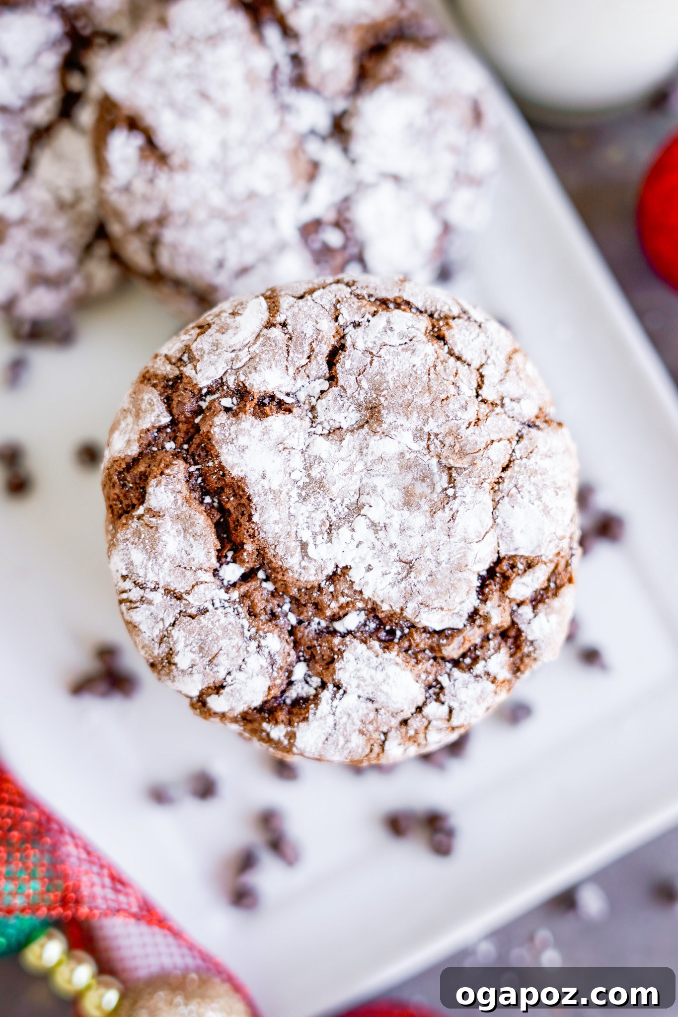 Decadent Chocolate Crinkle Cookies 3 Chocolate Crinkle Cookie Recipe with visible chocolate chips, showcasing the rich texture.