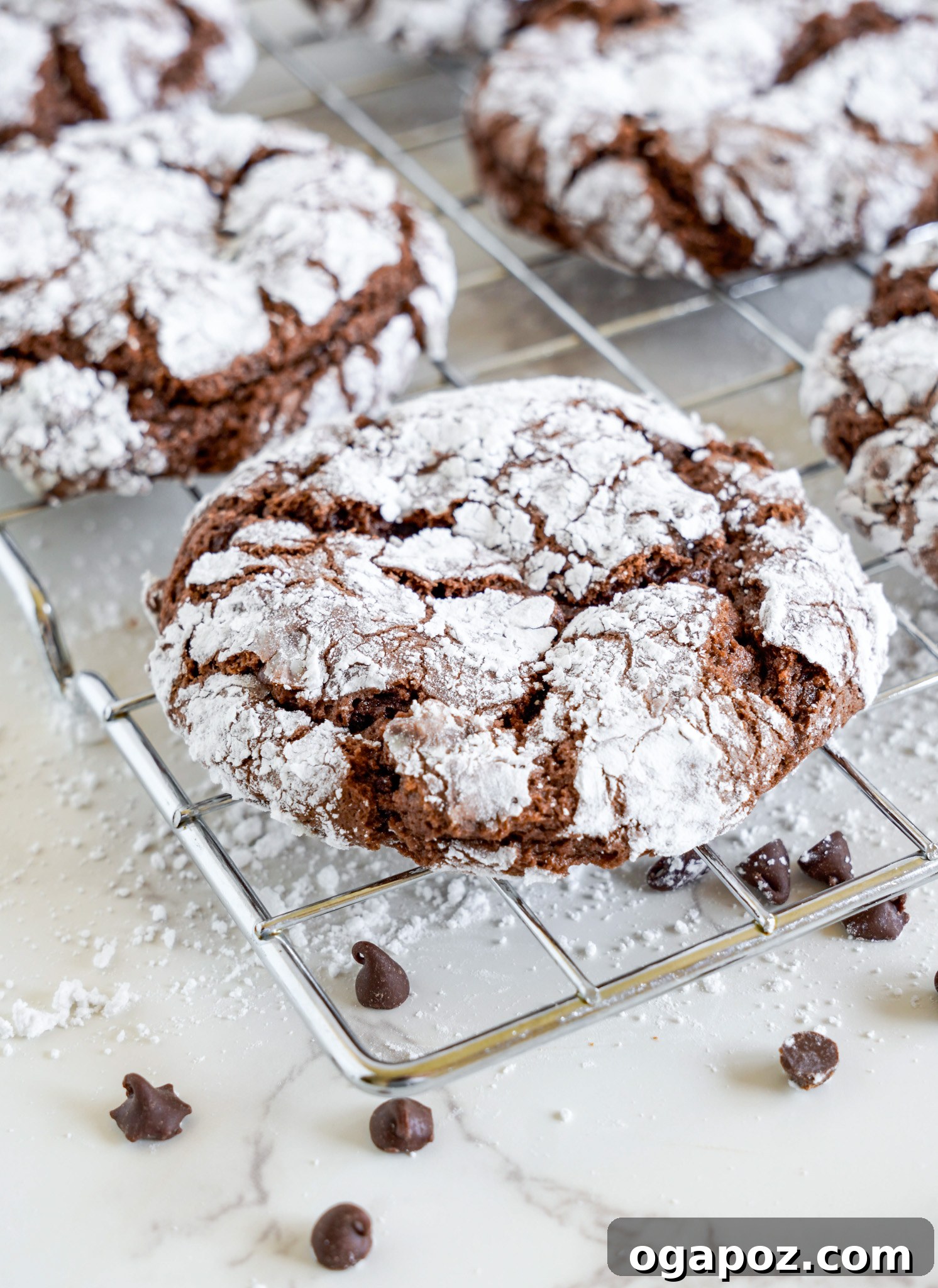 Decadent Chocolate Crinkle Cookies 5 Freshly baked Chocolate Crinkle Cookies cooling on a wire rack, showing their perfectly cracked, sugary tops.