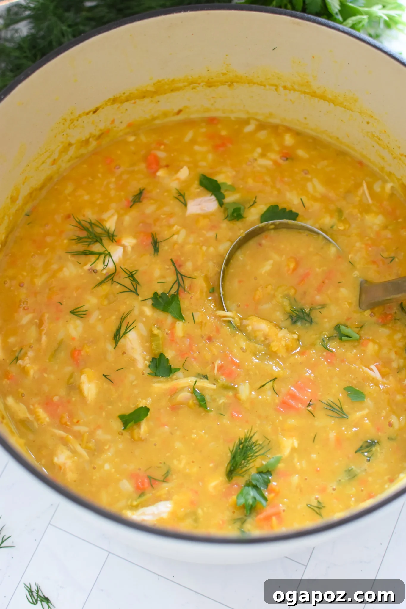 Hearty Chicken Lentil Soup 2 Hearty Chicken Lentil Soup simmering in a rustic dutch oven, garnished with fresh herbs.